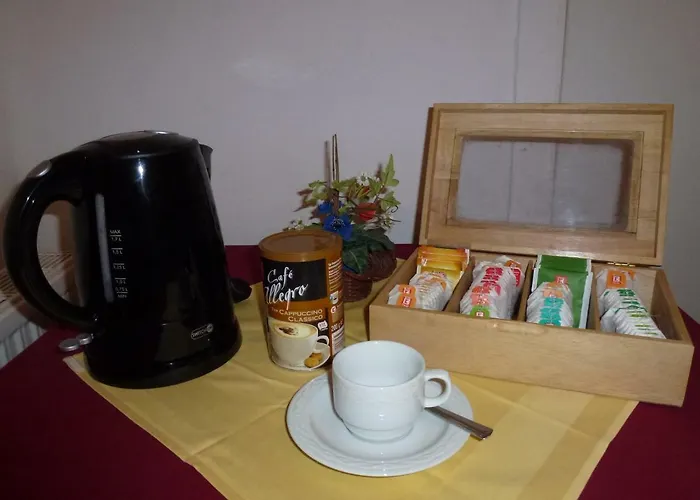 Bergmann-welp Pensjonat Freiberg